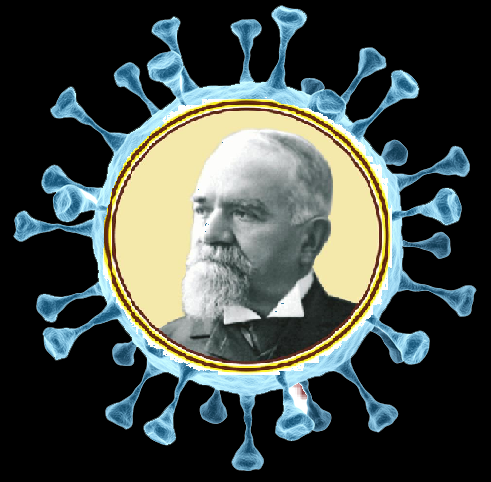 edito tulpina
